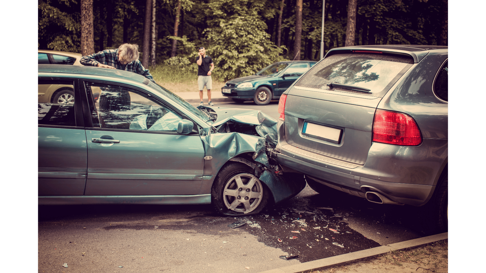 Read more about the article Wypadek z dzikim zwierzęciem – jak uzyskać odszkodowanie?